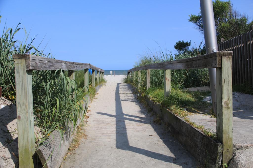 فندق Jade Tree Cove شاطئ ميرتل المظهر الخارجي الصورة